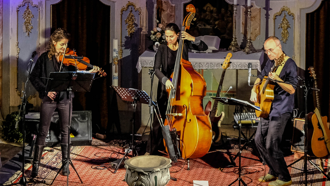 dreifarbenblau - presse 24-01-29_16-9