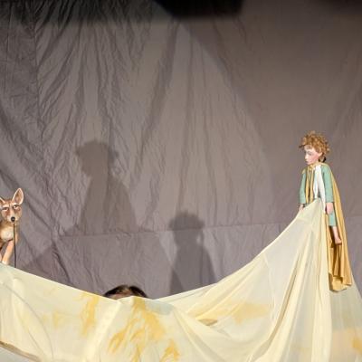 Pxl 20251023 184420356